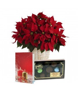 Le Trio du temps des fêtes